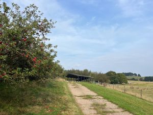 Photo 3- click for photo gallery